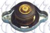 TRICLO 316427 Radiator Cap